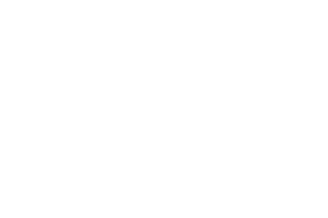 dm-logo-3-white